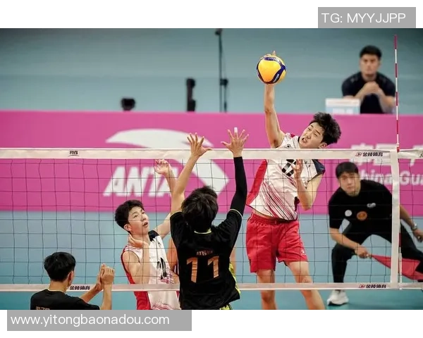 重庆排球队的转型之路：从传统到现代的排球发展新篇章