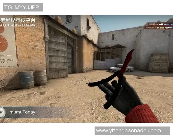 聚焦CSGOTES战队耐力训练与比赛表现的深度分析