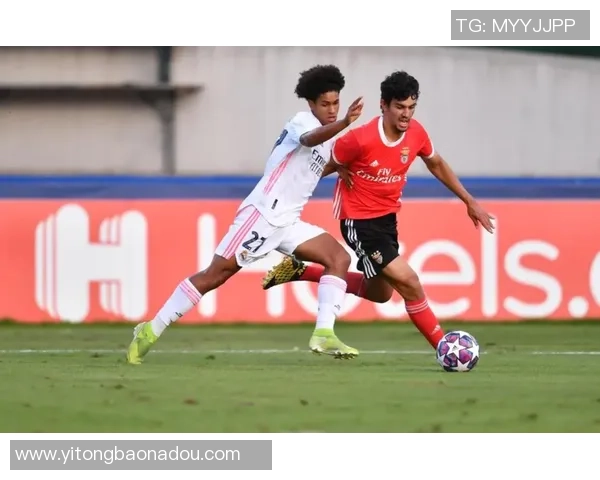 全球足球队徽标全景解析与设计风格探讨