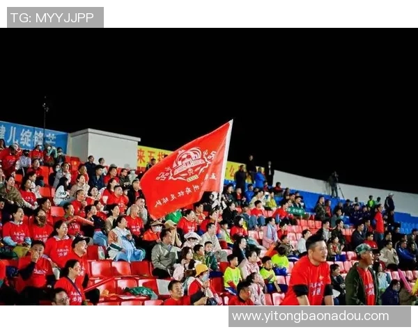 武汉足球球赛激情四溢球迷齐聚共庆体育盛事展现城市风采