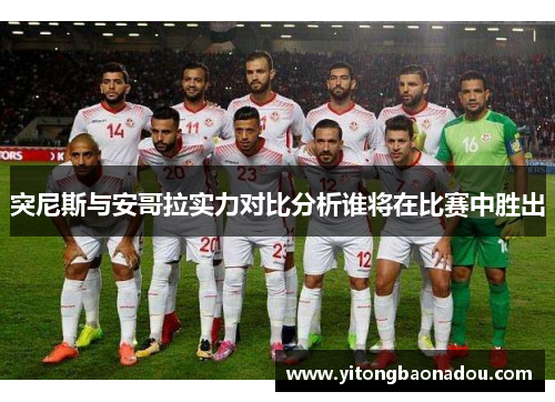 突尼斯与安哥拉实力对比分析谁将在比赛中胜出